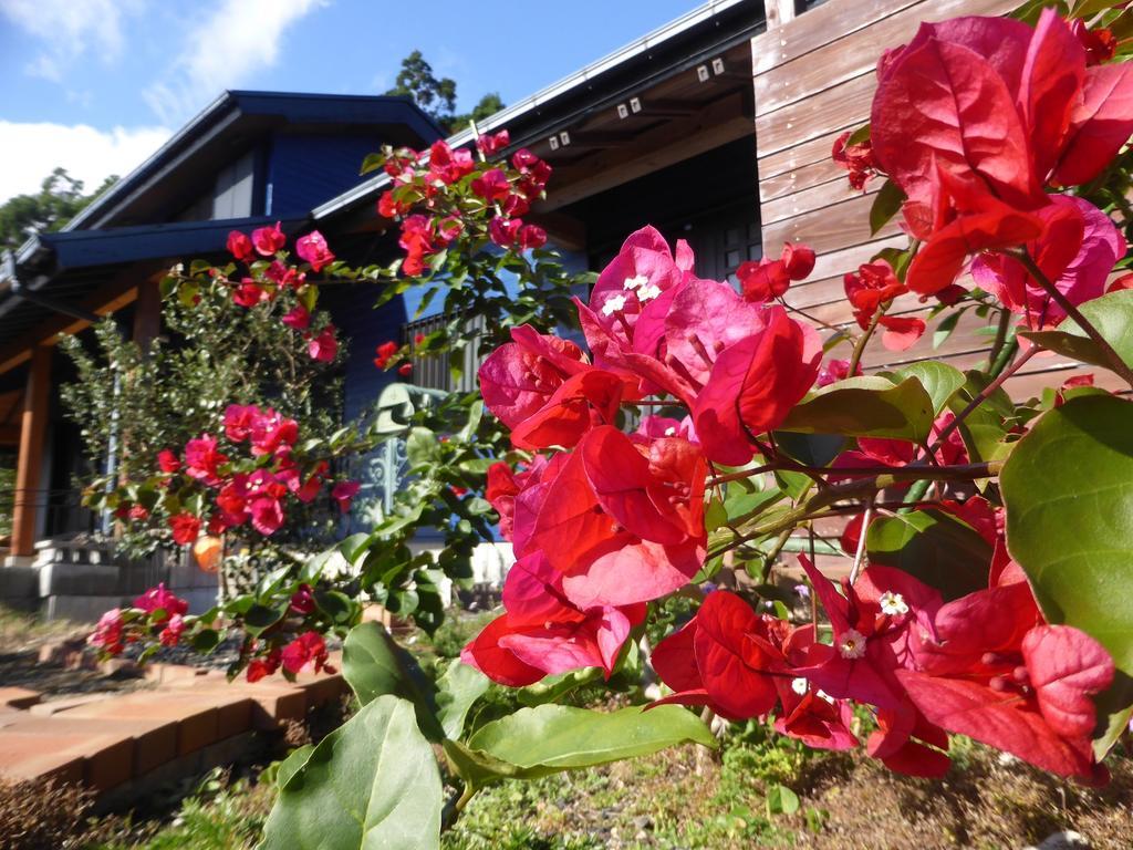 Pension Blue Drop Yakushima  Exterior photo
